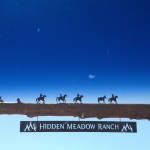 hidden meadow ranch