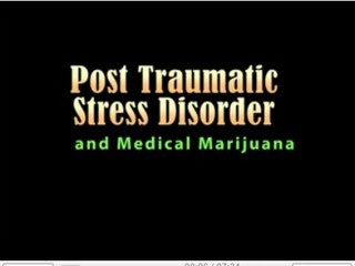 PTSD-and-MMJ-a-sollution-for-War-Veterans