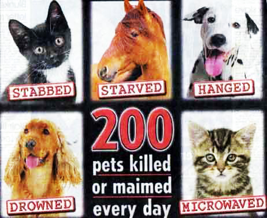 Stop-Animal-Abuse-stop-animal-abuse-31529007-462-379