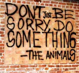 Stop-Animal-Cruelty-Dont-Be-Sorry-Do-Something