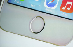 Apple could change the Touch ID module design by replacing previously used chemicals with tin to enhance durability. / Reuters