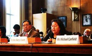 Hualapai Chairwoman Sherry Counts told a Senate committee that the northwestern Arizona tribe supports a bill that would formalize two water-rights agreements between it, Freeport Minerals Corp. and the government.