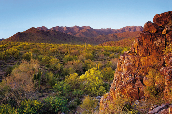 A snapshot of the Scottsdale McDowell Sonoran Preserve. Photo courtesy of the Scottsdale Convention Visitors Bureau