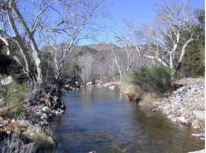 Former Arizona Sen. Barry Goldwater asked how many "little gems like Pinto Creek," shown here, the state could afford to lose, when the creek was placed on an endangered waterways list in 1996./ Michael Brady