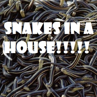 snakes in a house