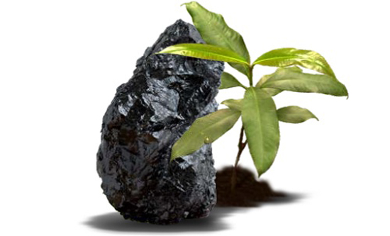 Coal-Indo-TambangRaya-Mega