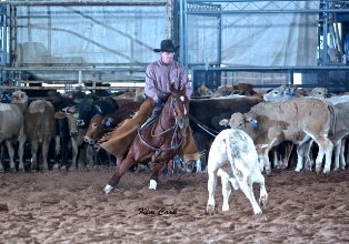 Tim Horn Cutting Horses is on his ranch outside of Queen Creek, Arizona near the San Tan Mountains where he trains on five acres with a full stable and lighted arena facilities.