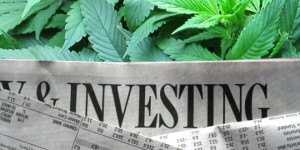 marijuana investments