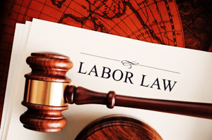 Labor_Employment_Law_2013_IMEC