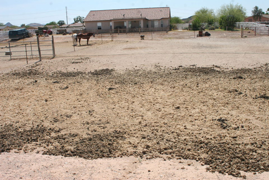 Horse manure accumulates in a back yard in Wildhorse Estates./Mark Cowling/Florence Reminder