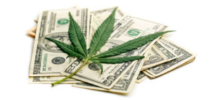 marijuana-monies-735-350