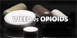 weed-vs-opioids-hero