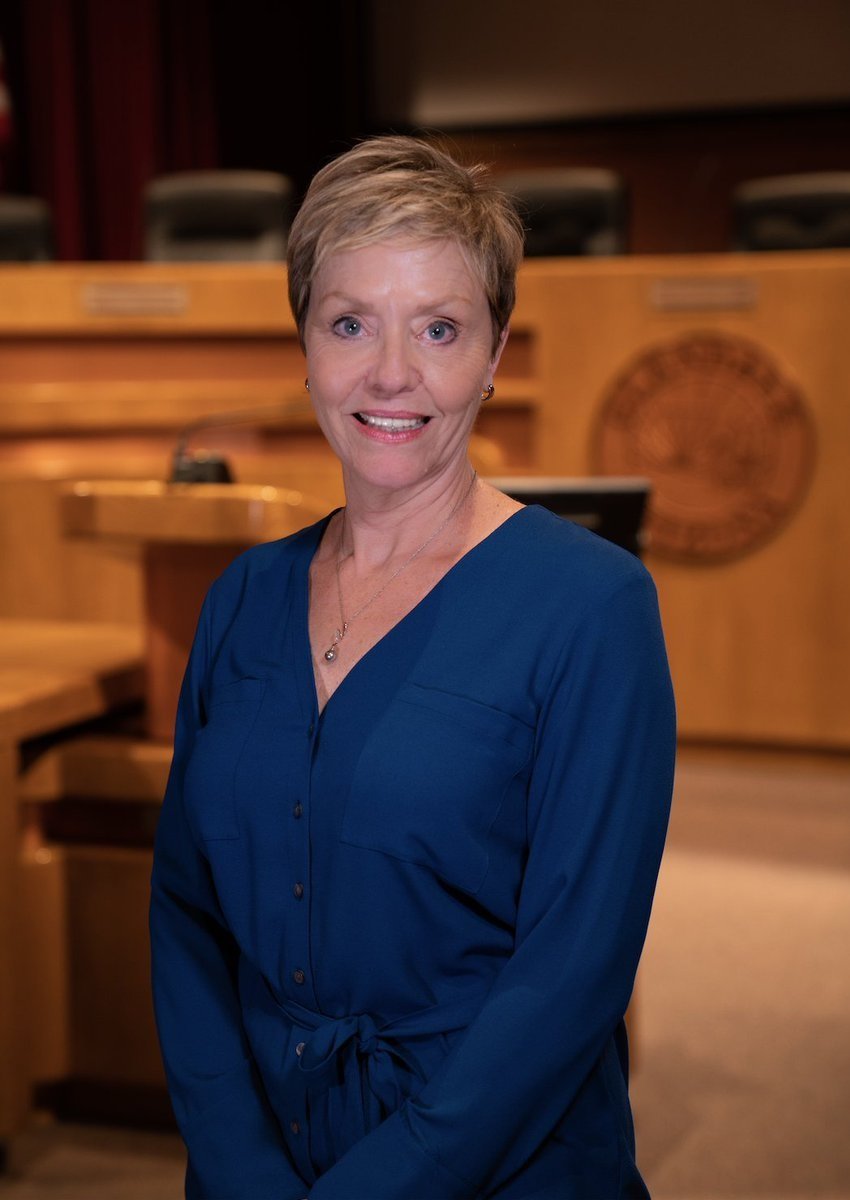 Lisa Collins named Glendale's interim Development Services d