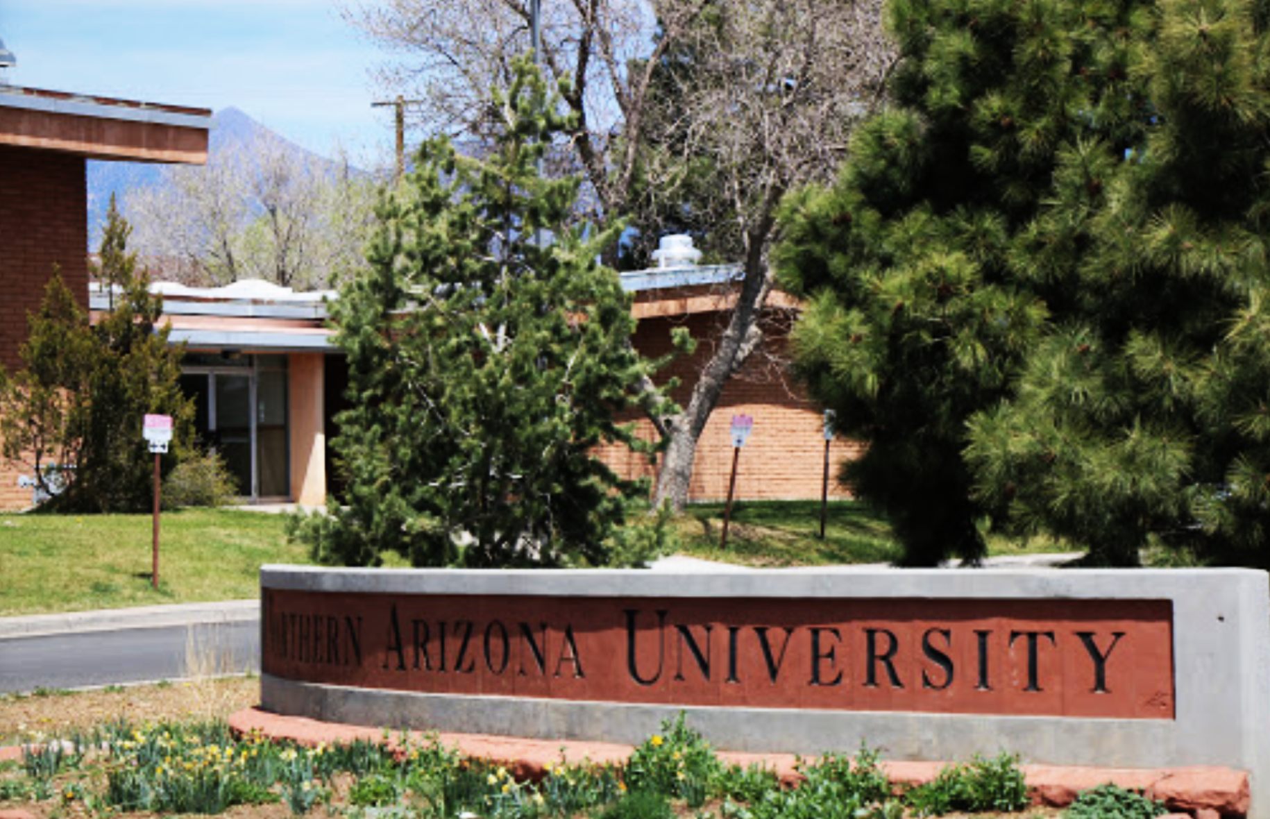 Northern Arizona University faculty members alarmed about university's