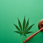 Oklahoma voters say ‘no’ to SQ 820, recreational marijuana