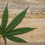 Buckeye Council mostly restrictive on cannabis