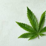 Marijuana grow facility cuts ribbon in Eloy