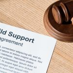 Halle Berry’s $16,000 monthly child support payments cut in half; Kaine Fisher, Rose Law Group partner and family law director, speaks to such ‘astronomical child support awards’