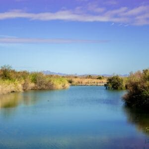 Precipitation may brighten Colorado River’s future, says modeling study